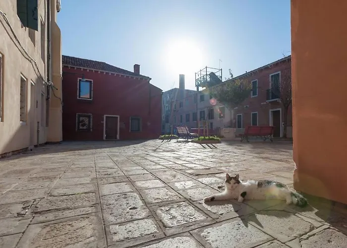 Ca' Ferrando, Brand New Apartment, Experienced Host! Venecia