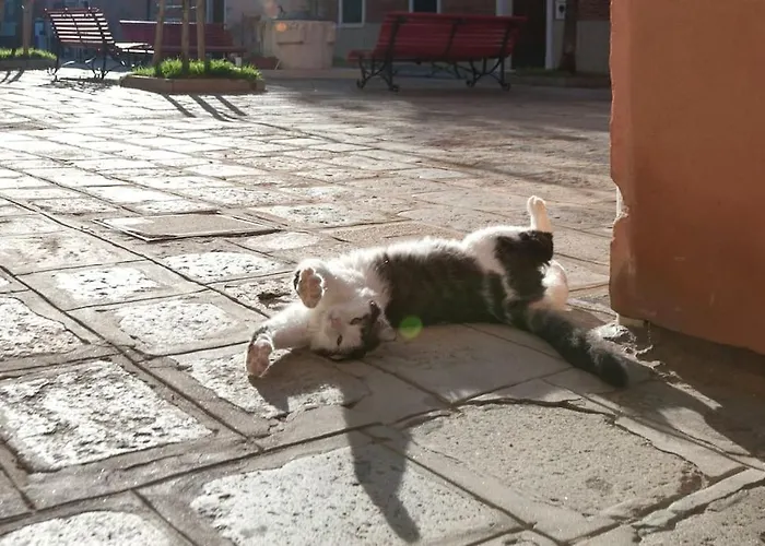 Ca' Ferrando, Brand New Apartment, Experienced Host! Apartamento